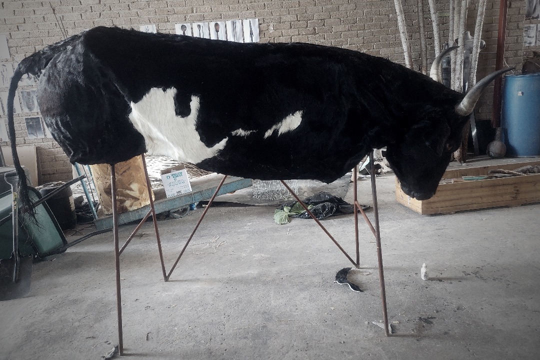 Props Fabrication · Animals, Fish