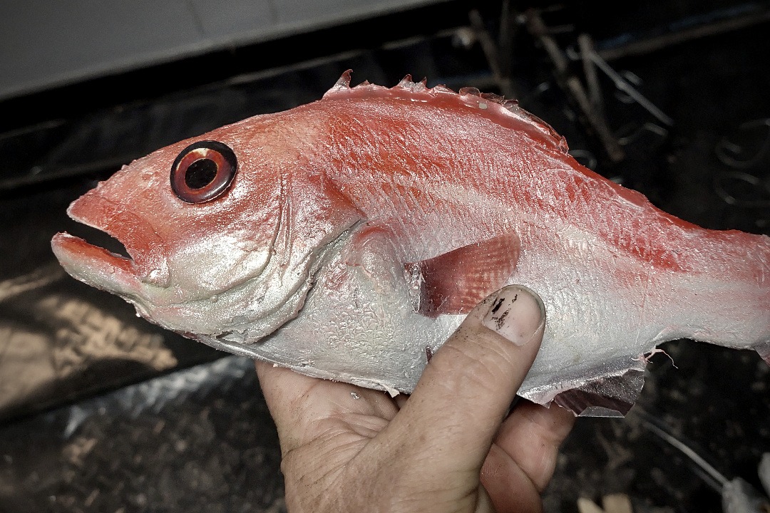 Props Fabrication · Animals, Fish