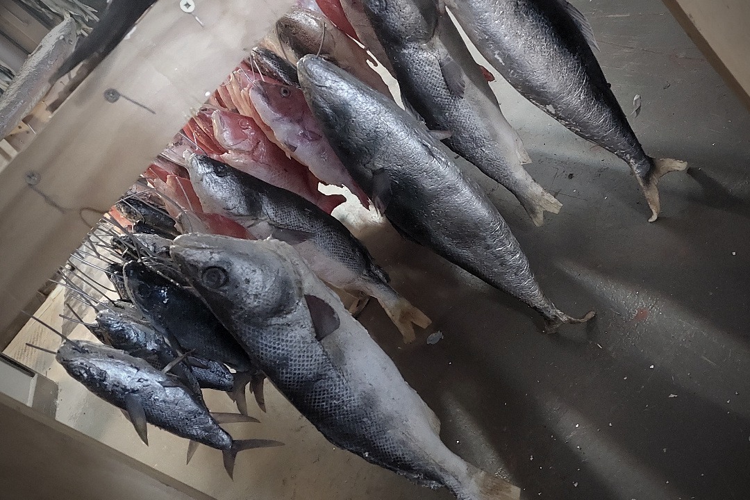 Props Fabrication · Animals, Fish