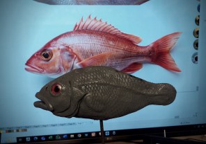 Animals, Fish